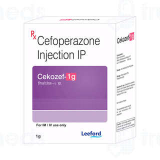 Cekozef 1 GM Injection 1