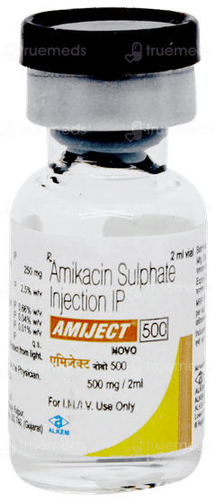 Amiject 500 Novo Injection 2ml Amiject 500 Novo Injection 2ml