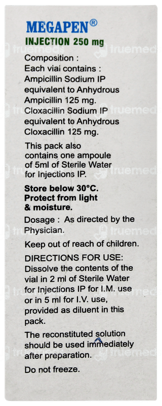 Megapen 250mg Injection 1