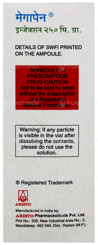 Megapen 250mg Injection 1