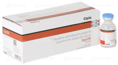 Cipcza Infusion 1