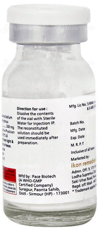 Predzen 500mg Injection 1