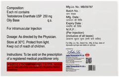 Testonos Depot 250 Injection 1Ml