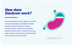 Gaviscon Peppermint Liquid 150ml