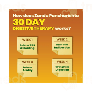 Zandu Pancharishta New No Added Sugar Digestive Tonic 450Ml