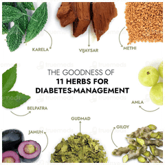 Kapiva Dia Foods Dia Free Juice 1 L