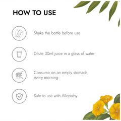 Kapiva Health Foods Bp Care Juice 1 L