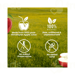 Dabur Himalayan Organic Apple Cider Vinegar 500 Ml
