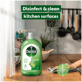 Dettol Lime Fresh Disinfectant Liquid 1 L