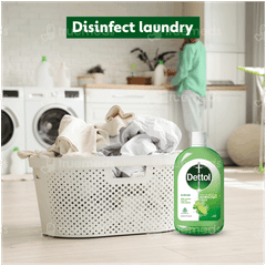 Dettol Lime Fresh Disinfectant Liquid 1 L