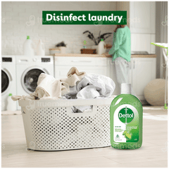 Dettol Lime Fresh Disinfectant Liquid 1 L