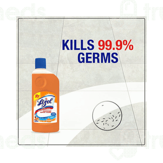 Lizol Sandal Disinfectant Surface Cleaner 500ml