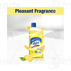 Lizol Citrus Disinfectant Surface Cleaner 500ml Lizol Citrus Disinfectant Surface Cleaner 500ml