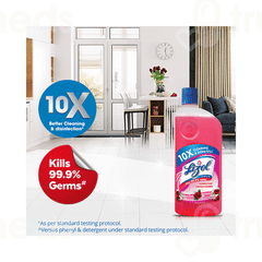 Lizol Floral Disinfectant Surface Cleaner 975ml