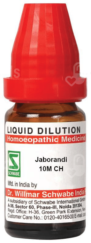 Dr Willmar Schwabe India Jaborandi Dilution 10M Ch 10 Ml