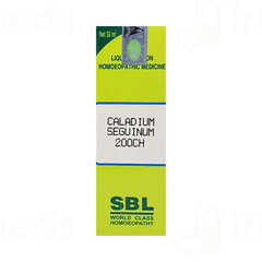 Sbl Rhus Toxicodendron 200ch Dilution 30ml