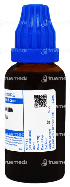 Sbl Cephalandra Indica Q Mother Tincture 30ml