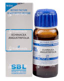 Sbl Echinacea Angustifolia Mother Tincture 30 ML
