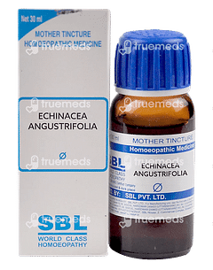 Sbl Echinacea Angustifolia Mother Tincture 30 ML