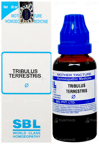 Sbl Tribulus Terrestris Q Mother Tincture 30Ml
