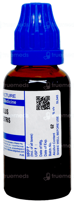 Sbl Tribulus Terrestris Q Mother Tincture 30Ml