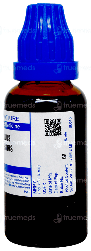 Sbl Tribulus Terrestris Q Mother Tincture 30Ml