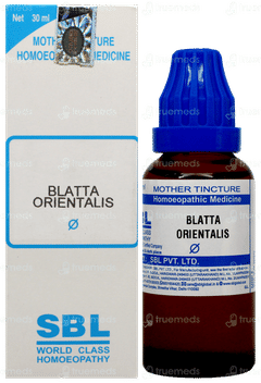 Sbl Blatta Orientalis Q Mother Tincture 30Ml Sbl Blatta Orientalis Q Mother Tincture 30Ml