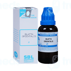 Sbl Blatta Orientalis Q Mother Tincture 30ml