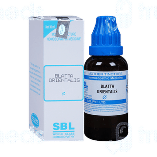Sbl Blatta Orientalis Q Mother Tincture 30ml