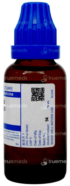 Sbl Agnus Castus Q Mother Tincture 30Ml