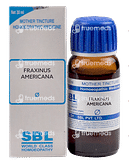 Sbl Fraxinus Americana Mother Tincture 30 ML