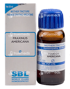 Sbl Fraxinus Americana Q Mother Tincture 30ml Sbl Fraxinus Americana Q Mother Tincture 30ml