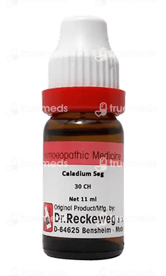 Dr Reckeweg Caladium Seg 30ch Dilution 11ml Dr Reckeweg Caladium Seg 30ch Dilution 11ml