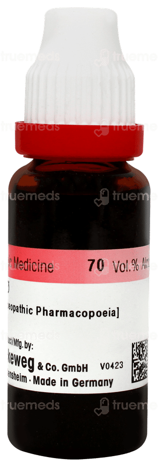 Dr Reckeweg Damiana Q Mother Tincture 20ml