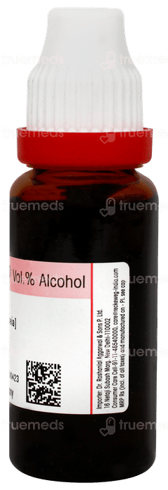 Dr Reckeweg Damiana Q Mother Tincture 20ml