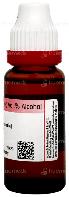 Dr Reckeweg Ginseng Q Mother Tincture 20Ml
