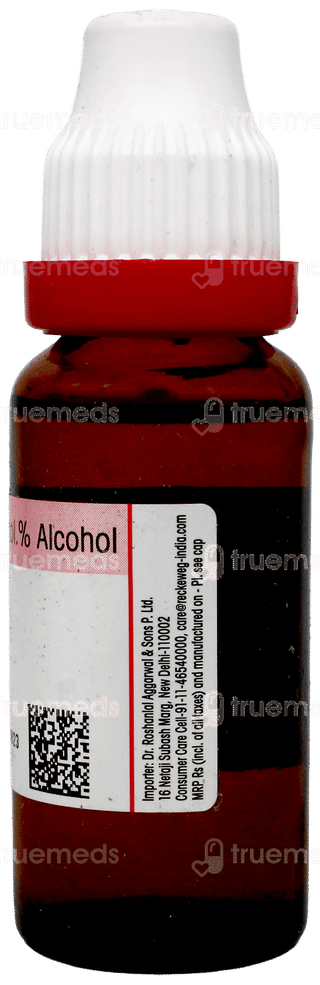 Dr Reckeweg Ashwagandha Q Mother Tincture 20ml
