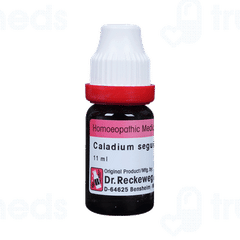 Dr Reckeweg Caladium Seg 200ch Dilution 11ml