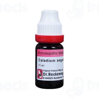 Dr Reckeweg Caladium Seg 200ch Dilution 11ml