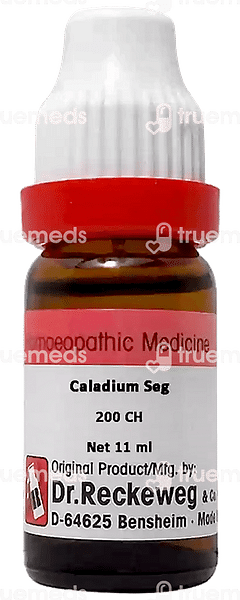 Dr. Reckeweg Caladium Seg 200 Ch Dilution 11 ML