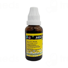 New Life Bach Flower White Chestnut 30 Dilution 30ml