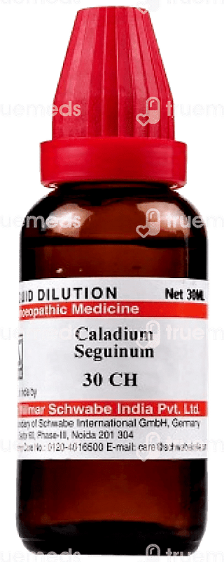 Dr Willmar Schwabe India Caladium Seguinum 30 Ch Dilution 30 ML