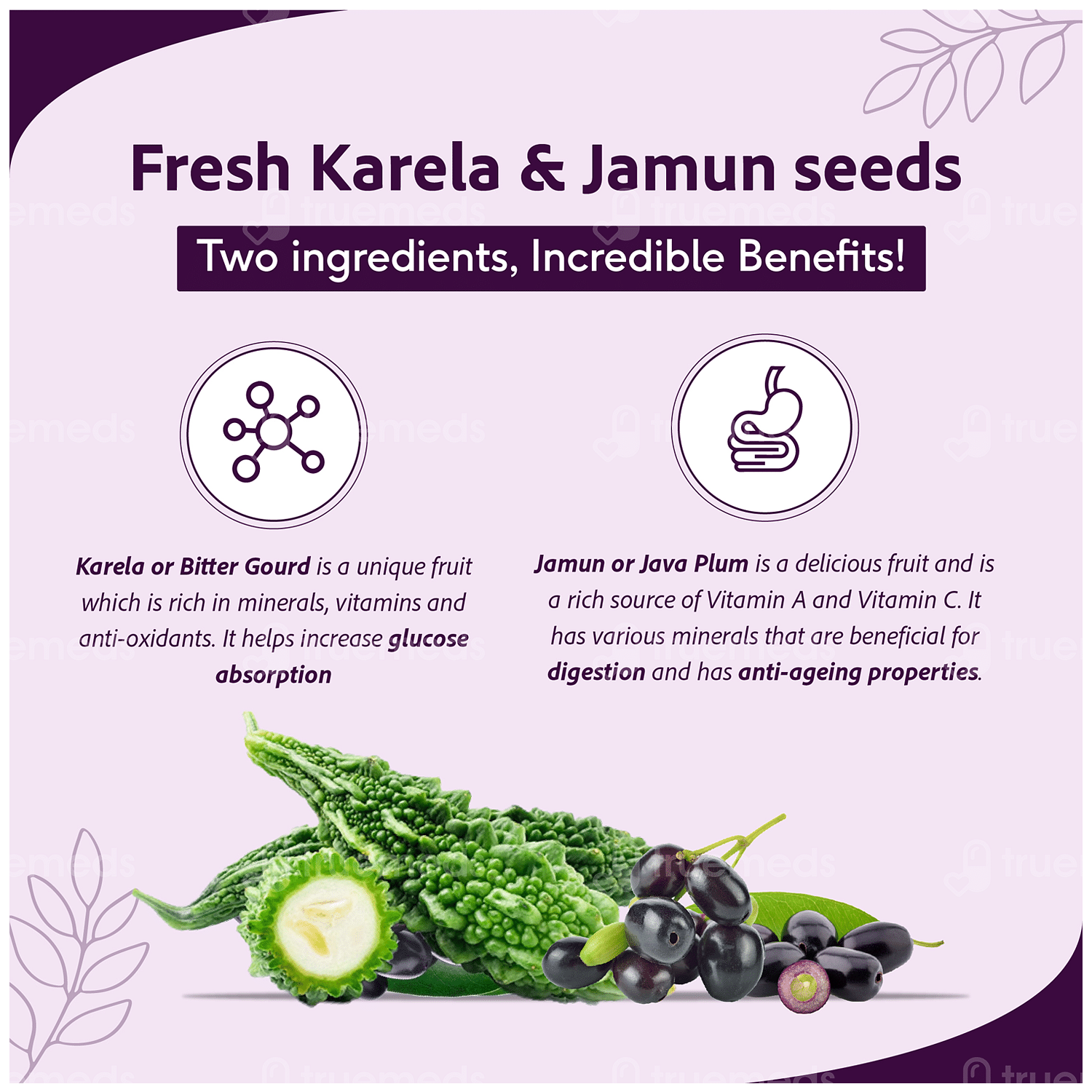 Sri Sri Tattva Karela Jamun Juice 1000 Ml Uses Side Effects Dosage Price Truemeds