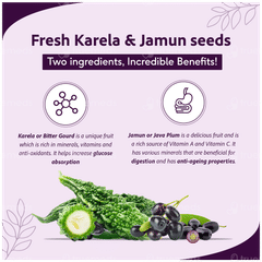 Sri Sri Tattva Karela Jamun No Added Sugar Juice 1 L Sri Sri Tattva Karela Jamun No Added Sugar Juice 1 L