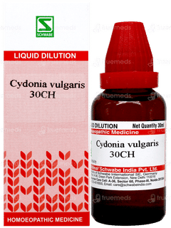Dr Willmar Schwabe Cydonia Vulgaris 30Ch Dilution 30Ml Dr Willmar Schwabe Cydonia Vulgaris 30Ch Dilution 30Ml
