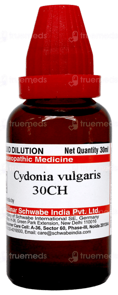 Dr Willmar Schwabe Cydonia Vulgaris 30Ch Dilution 30Ml