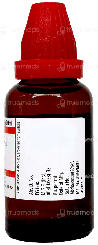 Dr Willmar Schwabe Cydonia Vulgaris 30Ch Dilution 30Ml