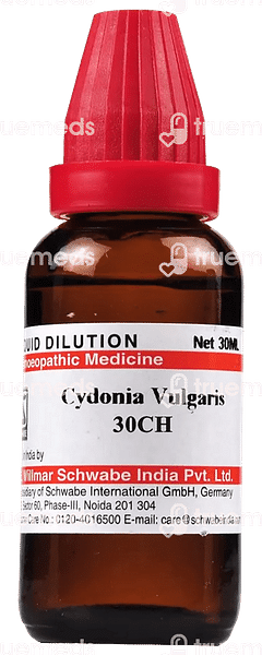 Dr Willmar Schwabe Cydonia Vulgaris 30ch Dilution 30ml Dr Willmar Schwabe Cydonia Vulgaris 30ch Dilution 30ml
