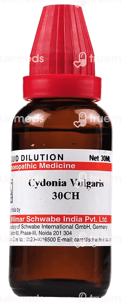 Dr Willmar Schwabe India Cydonia Vulgaris 30 Ch Dilution 30 ML