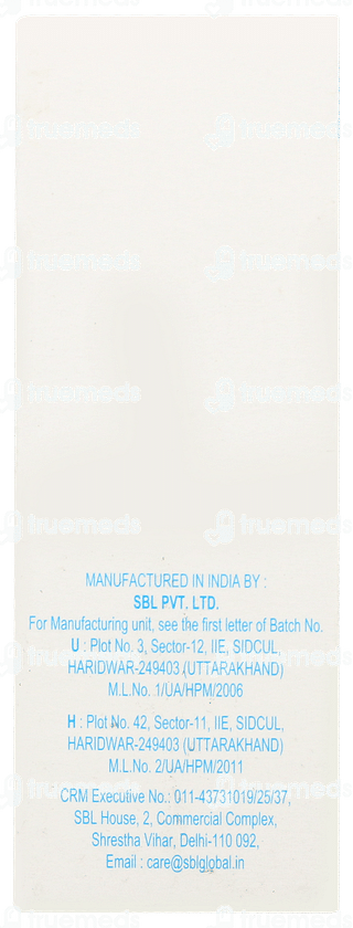 Sbl Berberis Vulgaris Q Mother Tincture 30ml